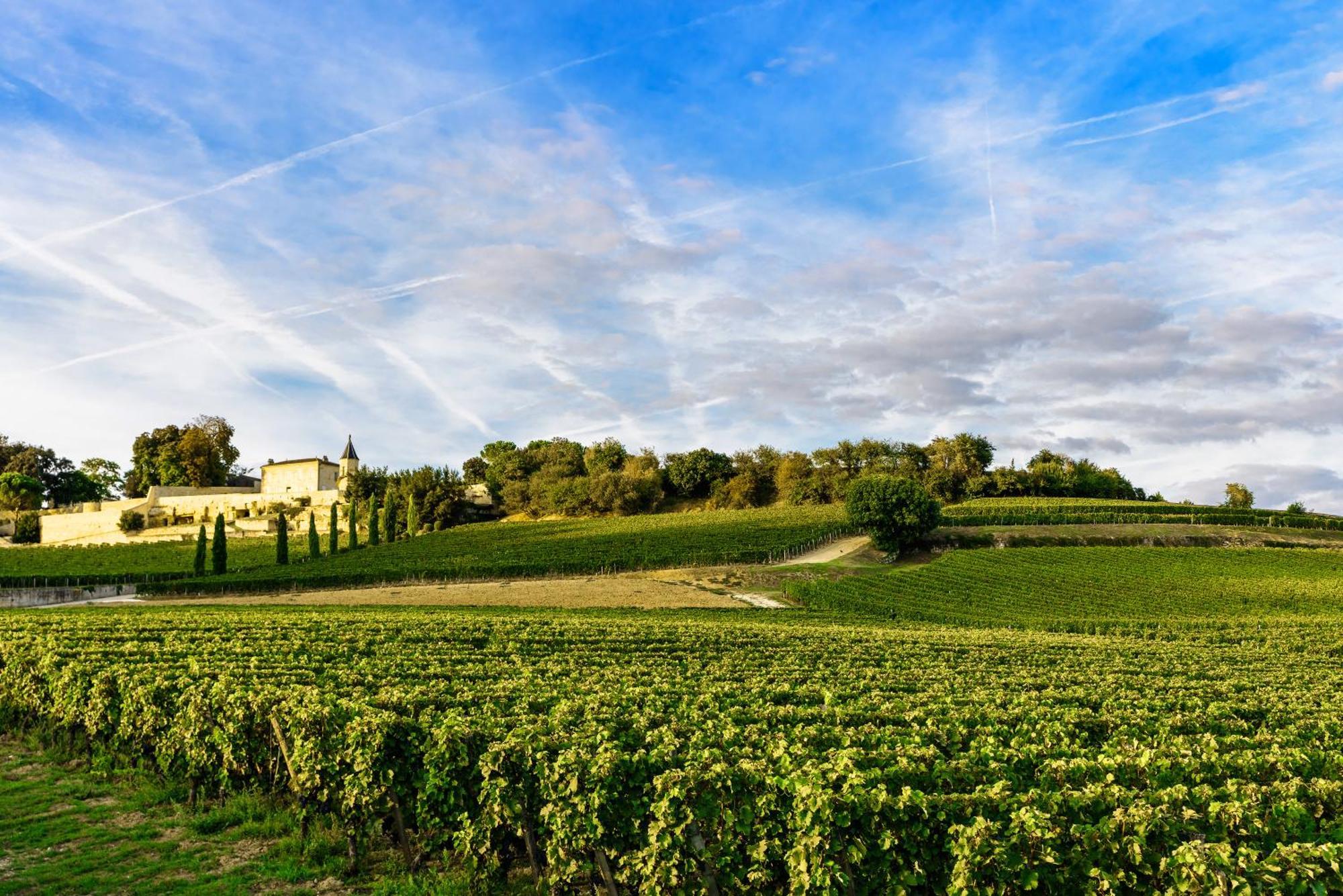 Clos 1906 Saint-Émilion Eksteriør billede
